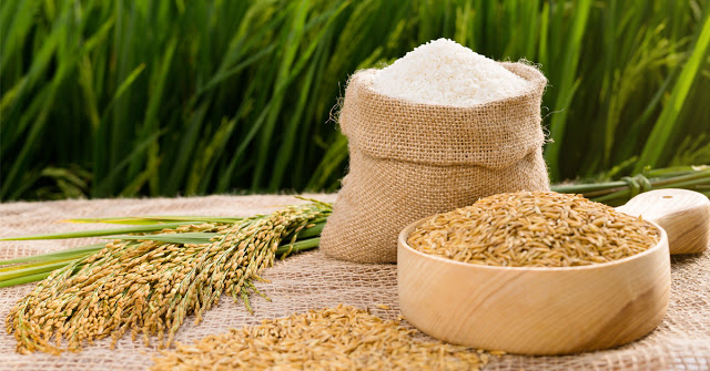 Điều kiện kinh doanh xuất khẩu gạo
